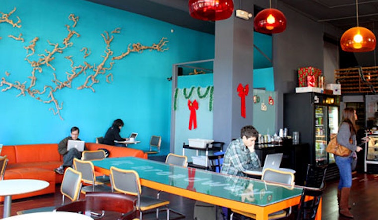 50% Off at Cafe Divis