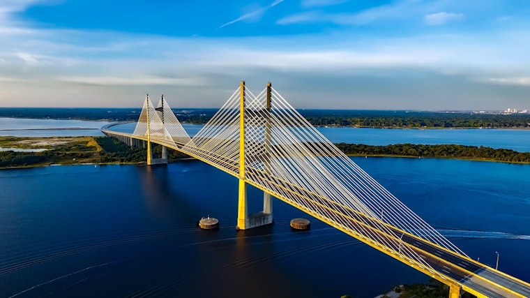Top Jacksonville news: Boil water advisory issued; critically endangered lemurs born at zoo; more