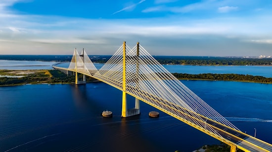 Top Jacksonville news: Boil water advisory issued; critically endangered lemurs born at zoo; more