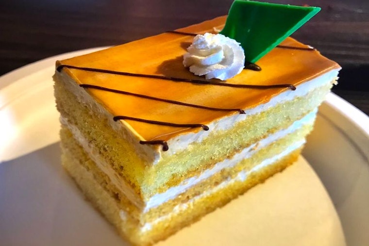 Explore the 5 most popular spots in Tampa's University Square neighborhood