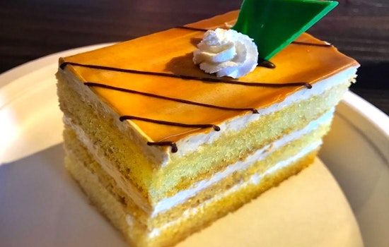 Explore the 5 most popular spots in Tampa's University Square neighborhood