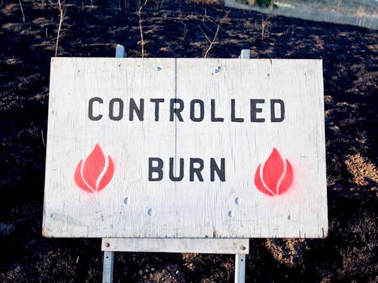 Lower Haight Burns Bernal, Advances to Curbed Cup Finals