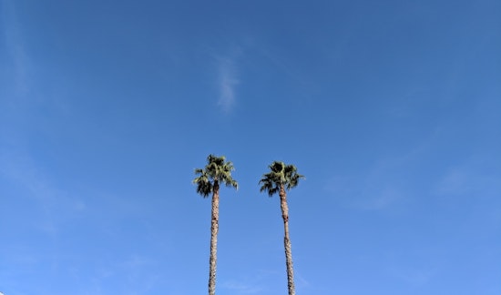 Top Long Beach news: Telemarketers owe nearly $1.5 million after scamming 150 victims; more