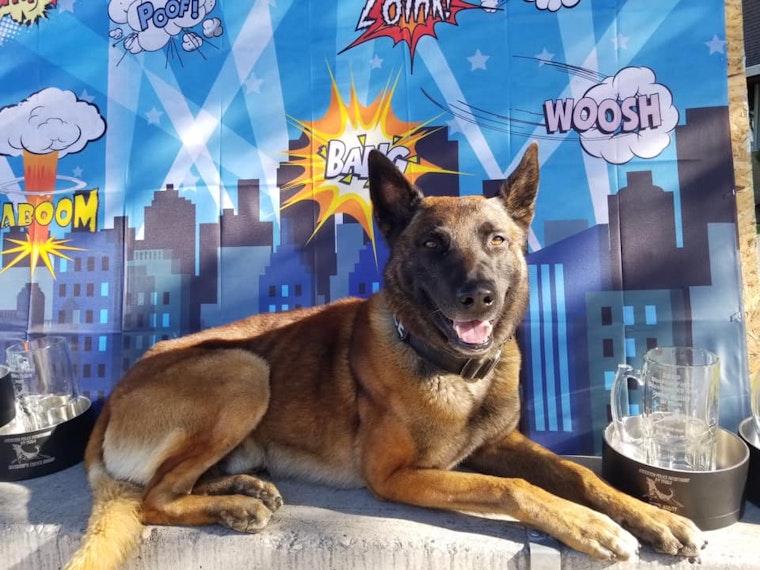 Top Stockton news: Apartment complex cited for overflowing trash; K-9s compete for 'Top Dog'; more