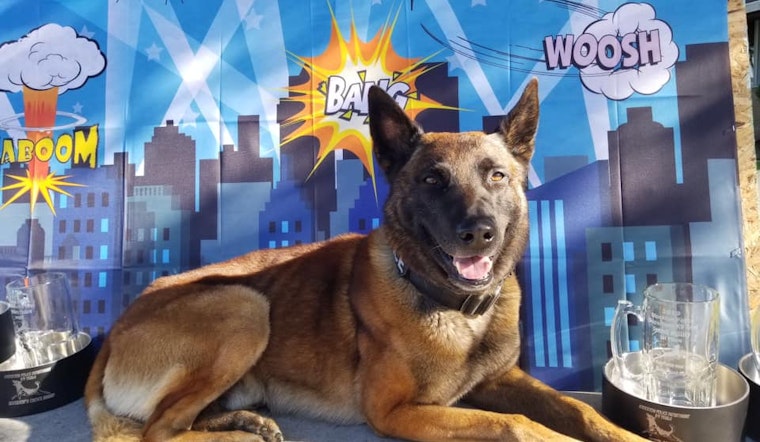 Top Stockton news: Apartment complex cited for overflowing trash; K-9s compete for 'Top Dog'; more