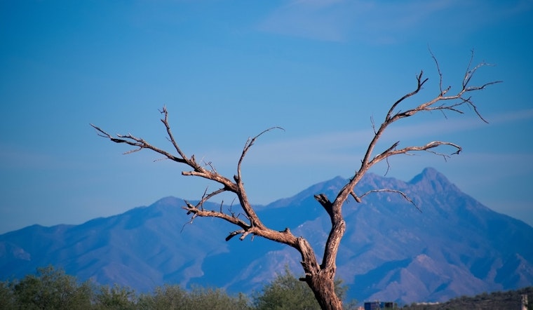 Top Tucson news: Police ID homicide victim; man gets life for fatal shooting; more