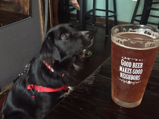 Check out the 5 most popular spots in Louisville's Old Louisville neighborhood