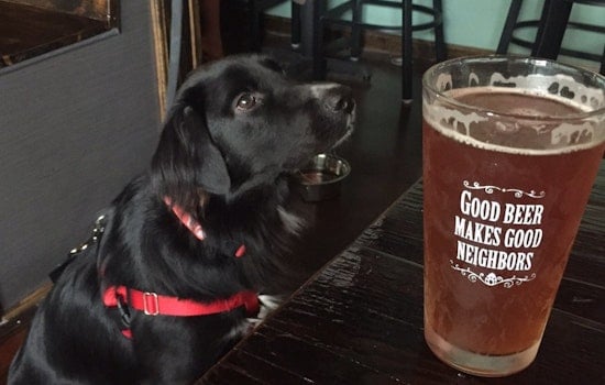 Check out the 5 most popular spots in Louisville's Old Louisville neighborhood