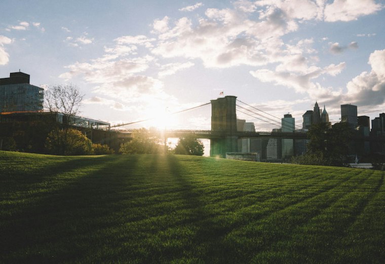 7 Parks to Have a Picnic At in New York City
