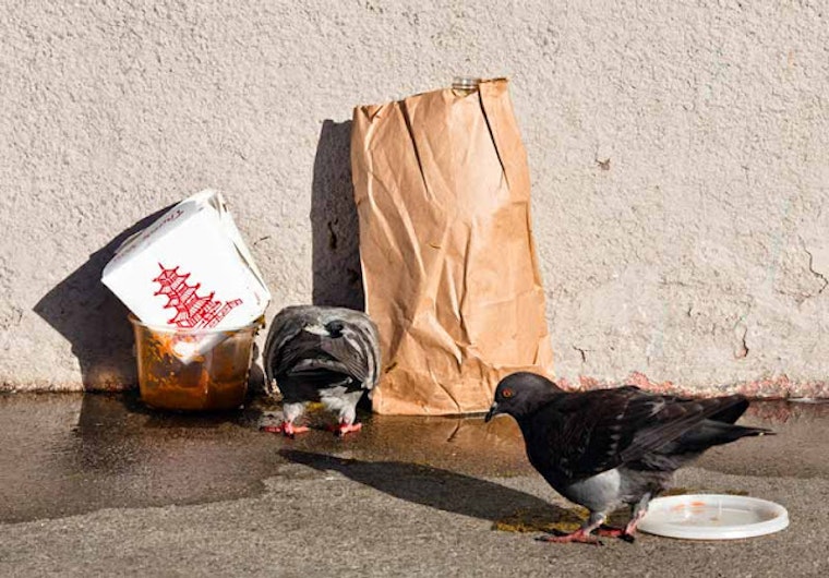 Lower Haight Leftovers: 3/25 Edition