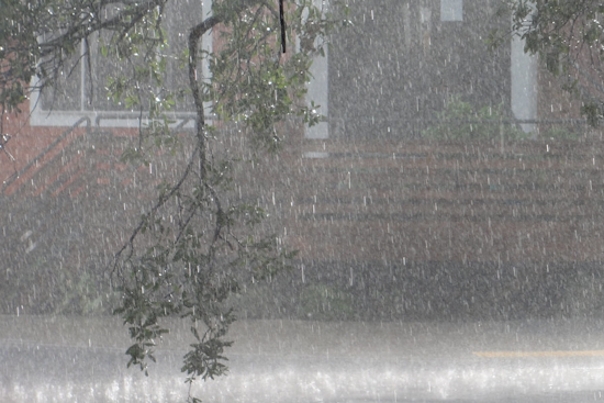 Top New Orleans news: Genealogy site link leads to murder arrest; city braces for heavy rain; more