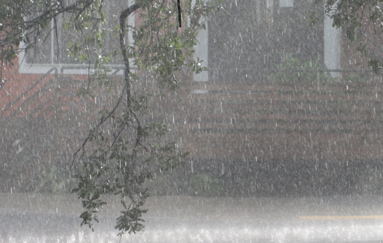 Top New Orleans news: Genealogy site link leads to murder arrest; city braces for heavy rain; more