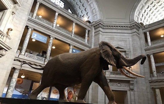 4 community and cultural events worth seeking out in Washington this weekend