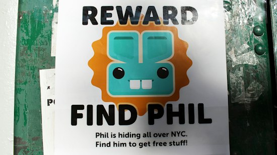 Have You Seen Phil the Bunny in New York?