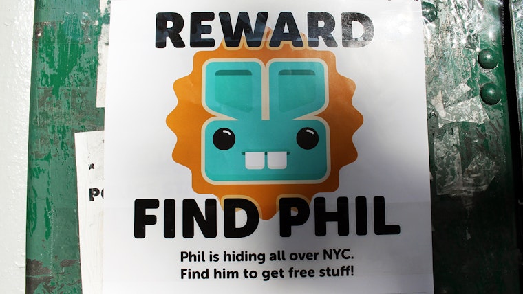Have You Seen Phil the Bunny in New York?