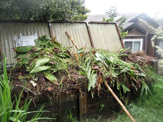 Lower Haight Leftovers: Earth Day Edition