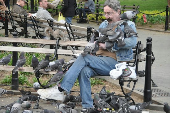 Living in Wild, Wild New York