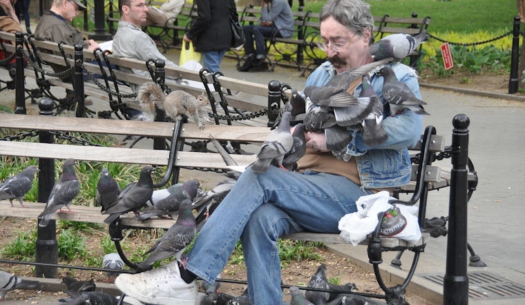 Living in Wild, Wild New York