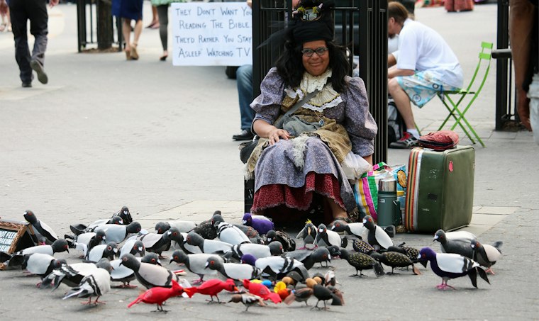 Motherpigeon Represents New York's Pigeons