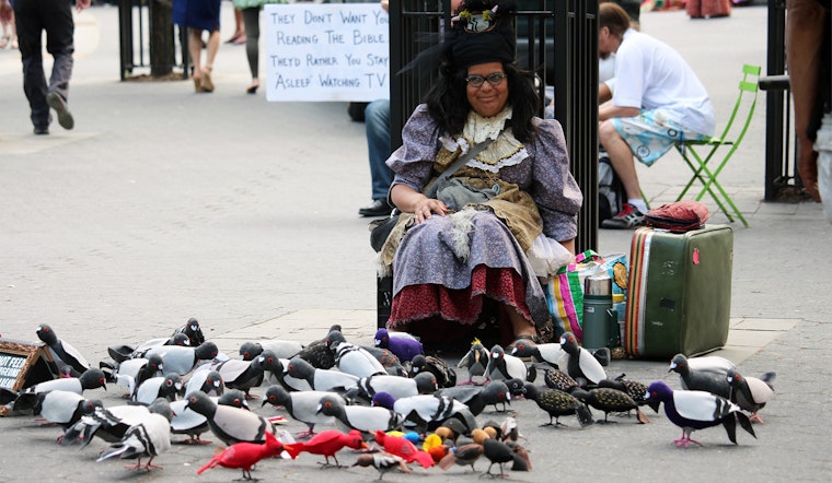 Motherpigeon Represents New York's Pigeons