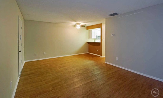 Renting in Orlando: What's the cheapest apartment available right now?