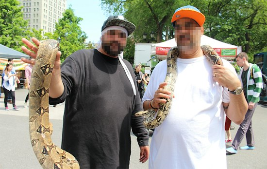 New Yorkers Selling Cuddles With Boa Constrictors