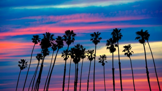 6 Best Images From Los Angeles's Subreddit