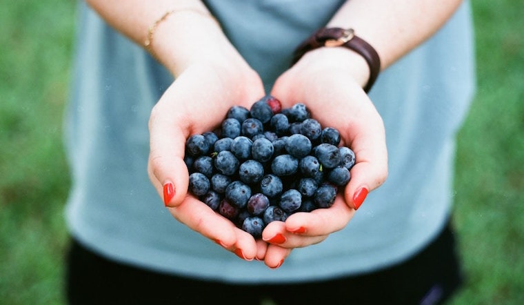 Dallas to host a variety of food and drink events this week