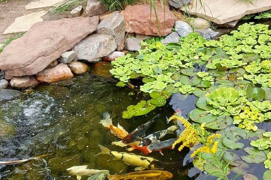 Check out the 4 most popular spots in Aurora's Southeast Crossing