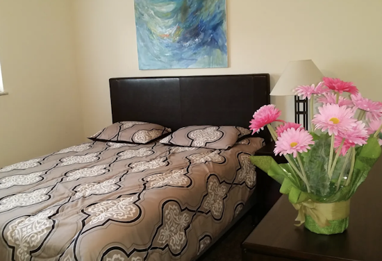 What will $800 rent you in CUF, today?