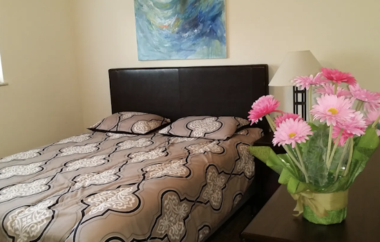 What will $800 rent you in CUF, today?