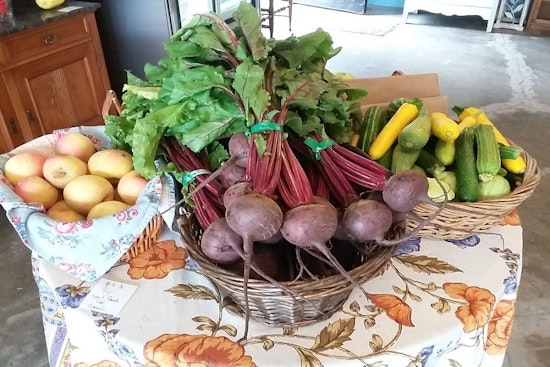 Explore the 4 top spots in Stockton's Oak Park neighborhood