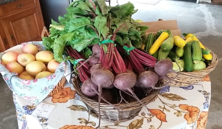Explore the 4 top spots in Stockton's Oak Park neighborhood