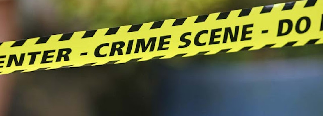 2 Crimes Hit Buena Vista Park