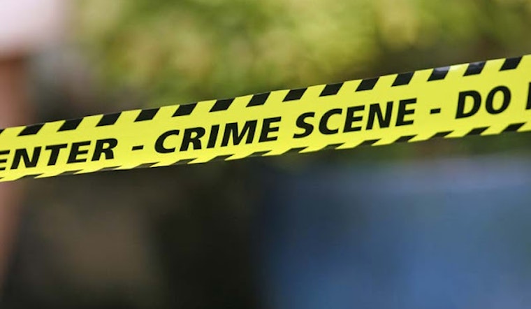 2 Crimes Hit Buena Vista Park