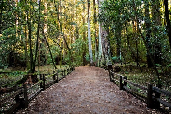 Irvine to host a variety of family-friendly events this week