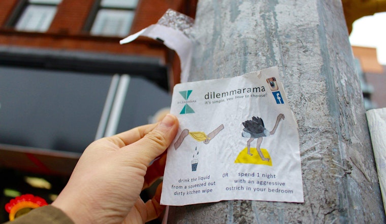 Spotted in Bushwick: Would You Rather Drink Dirty Rag Water or Sleep With an Angry Ostr...