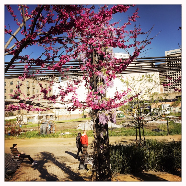 Spring and Construction Are in the Air at 1911 Telegraph