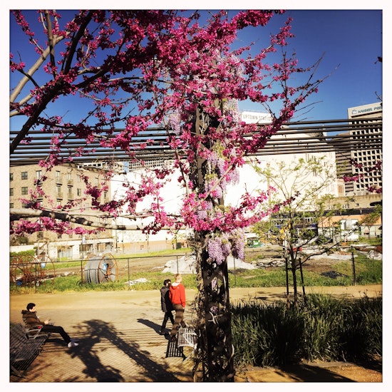 Spring and Construction Are in the Air at 1911 Telegraph
