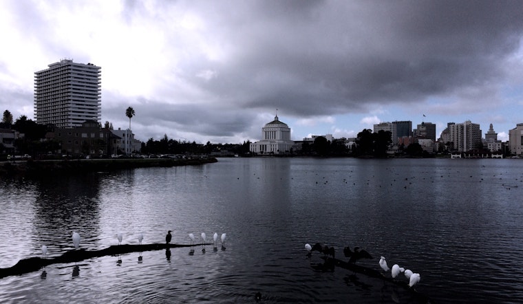 The Beautiful Birds of Lake Merritt
