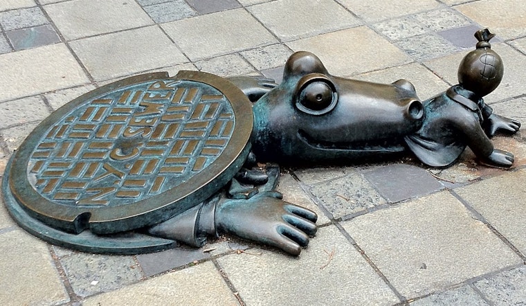 The History Behind New York's Sewergators