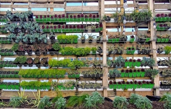 3 health and wellness events worth seeking out in Baltimore this weekend