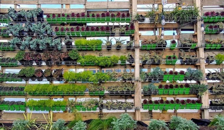 3 health and wellness events worth seeking out in Baltimore this weekend