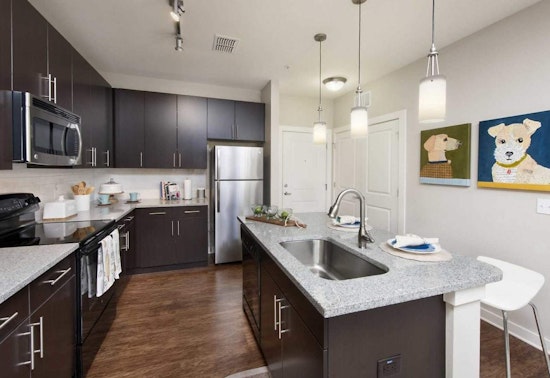 The lowest priced apartment rentals in North Hyde Park