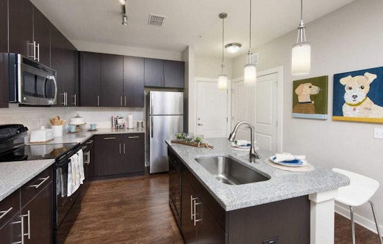 The lowest priced apartment rentals in North Hyde Park
