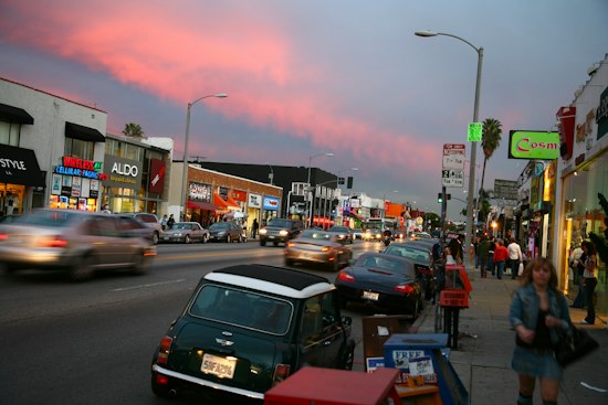 Vice City Guide: Shop on Melrose Ave