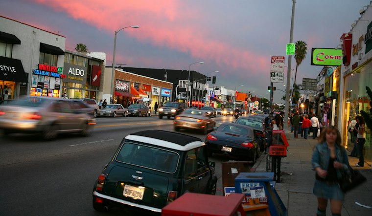 Vice City Guide: Shop on Melrose Ave