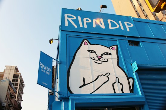 Wallplay HQ Catches Eyes on the Lower East Side