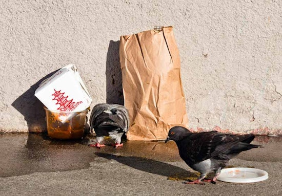Lower Haight Leftovers: 8/26 Edition