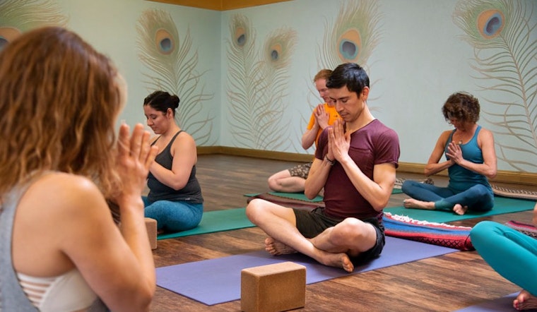 Celebrate International Yoga Day with Berkeley's top yoga studios